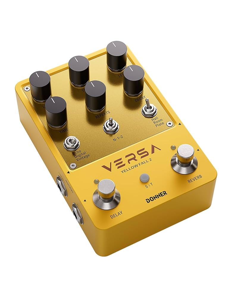 Amazon.com: Donner Guitar Reverb & Delay Pedal - 2 in 1 with